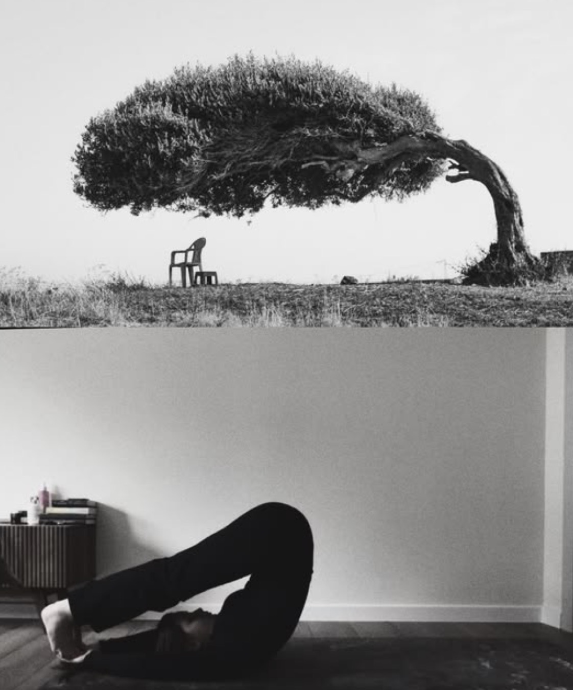 Composición en blanco y negro que relaciona la forma de un árbol con una postura de yoga